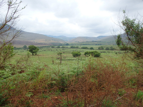 Africa View.